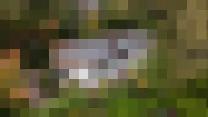 Jacob Catslaan 23 Ermelo thumbnail 55
