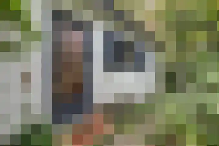 Jacob Catslaan 23 Ermelo thumbnail 6