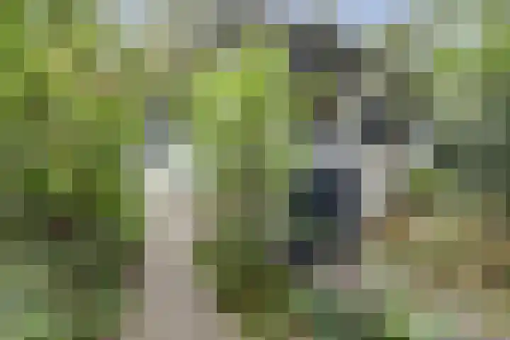 Jacob Catslaan 23 Ermelo thumbnail 7