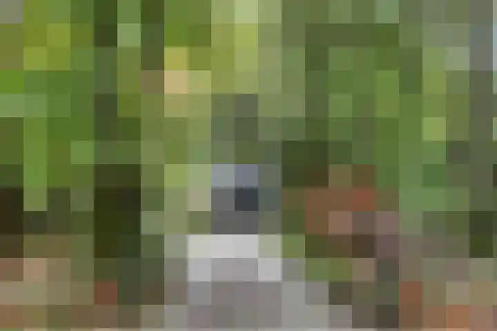 Jacob Catslaan 23 Ermelo thumbnail 8