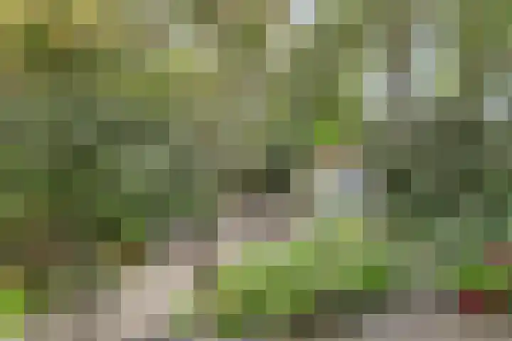 Jacob Catslaan 23 Ermelo thumbnail 9