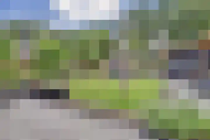Jacob Catslaan 93 Ermelo thumbnail 4