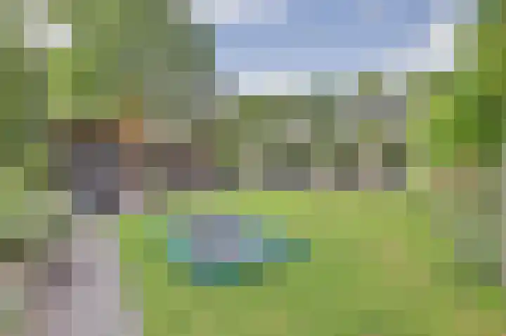 Jacob Catslaan 93 Ermelo thumbnail 42