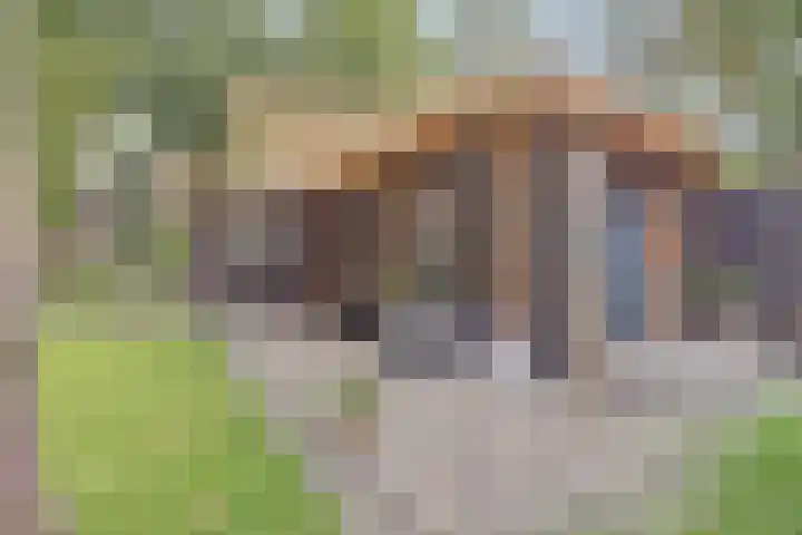 Jacob Catslaan 93 Ermelo thumbnail 48