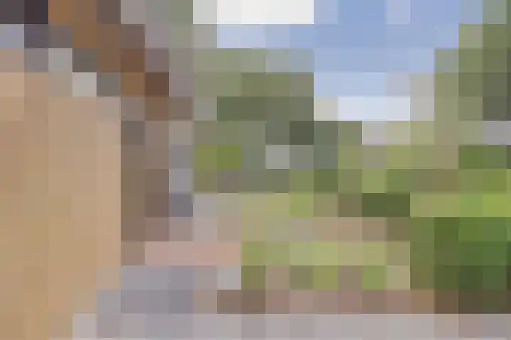 Jacob Catslaan 93 Ermelo thumbnail 7