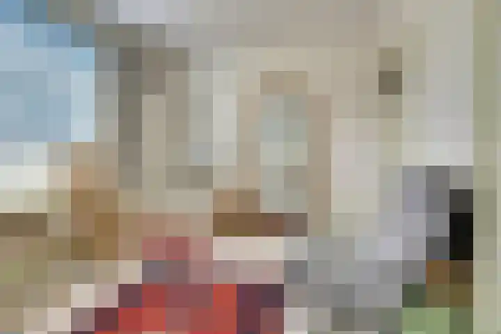 Jacob Catssingel 46 Breda thumbnail 27