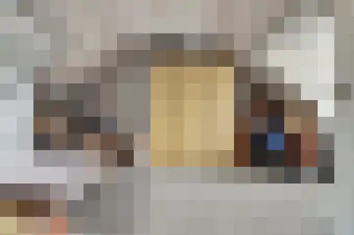 Jacob Catssingel 46 Breda thumbnail 31
