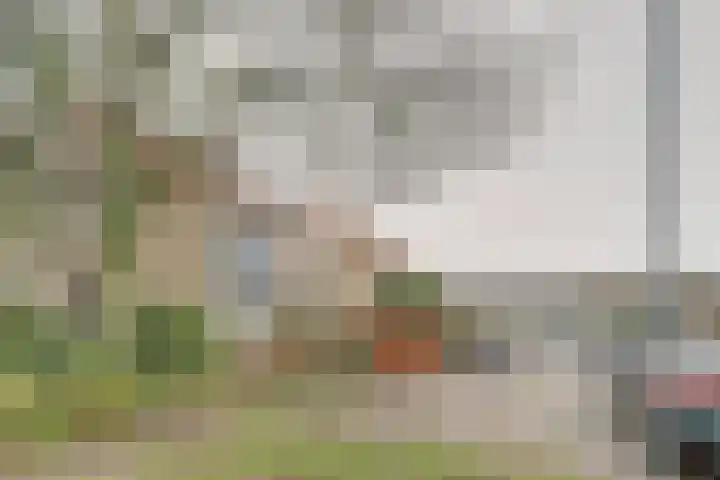 Jacob Catssingel 46 Breda thumbnail 40