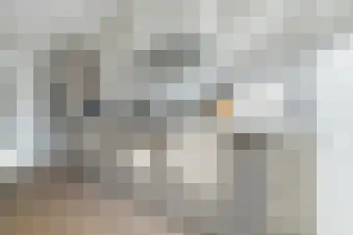 Jacob Catssingel 5 Breda thumbnail 16