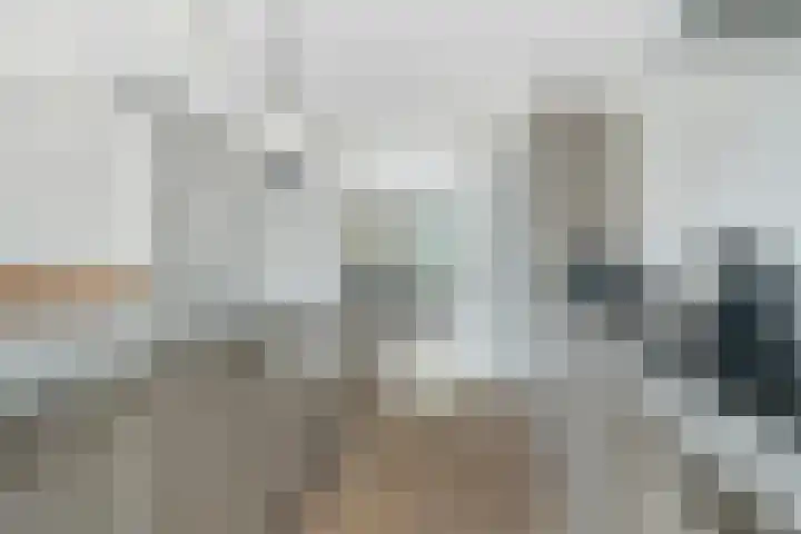 Jacob Catssingel 5 Breda thumbnail 17