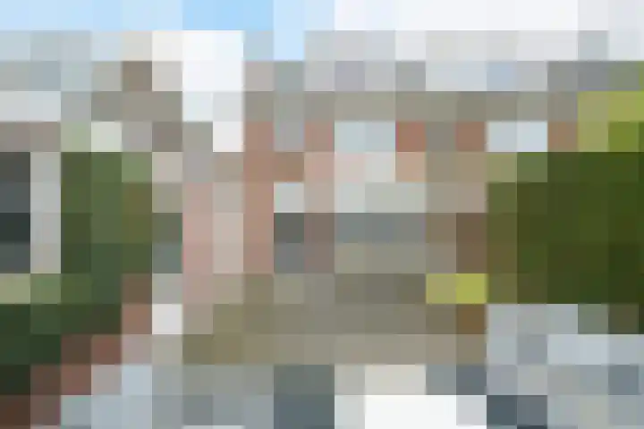 Jacob Catssingel 5 Breda thumbnail 18