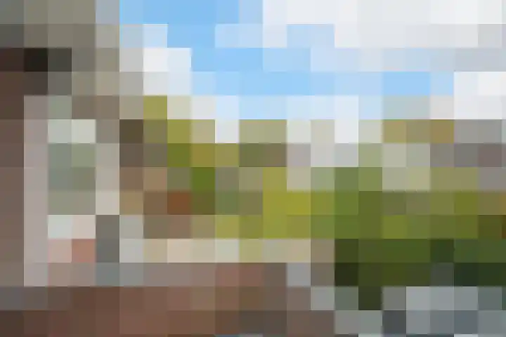 Jacob Catssingel 5 Breda thumbnail 29