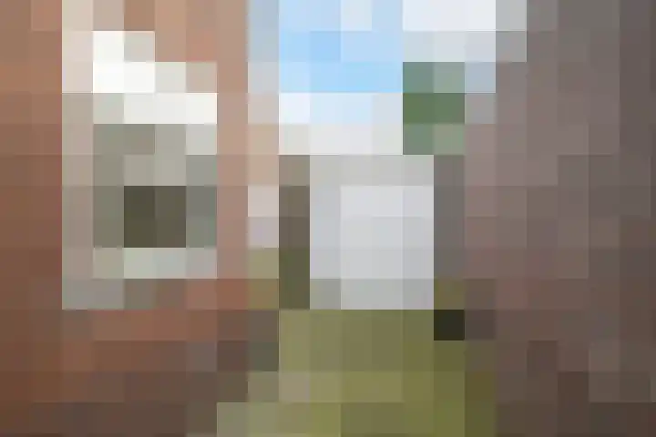 Jacob Catssingel 5 Breda thumbnail 40
