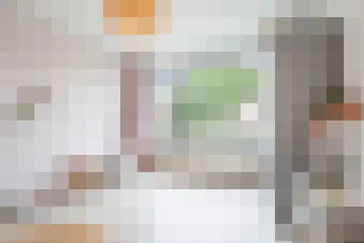 Jacob Catssingel 95 Breda thumbnail 21