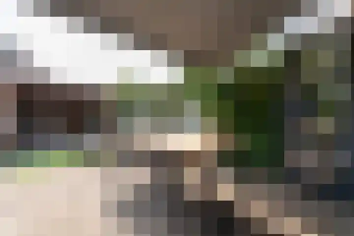 Jacob Catssingel 95 Breda thumbnail 34