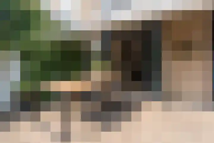 Jacob Catssingel 95 Breda thumbnail 35