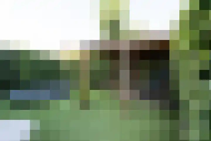 Jacob Catssingel 95 Breda thumbnail 38