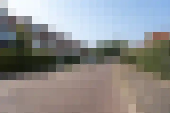 Jacob Catssingel 95 Breda thumbnail 40