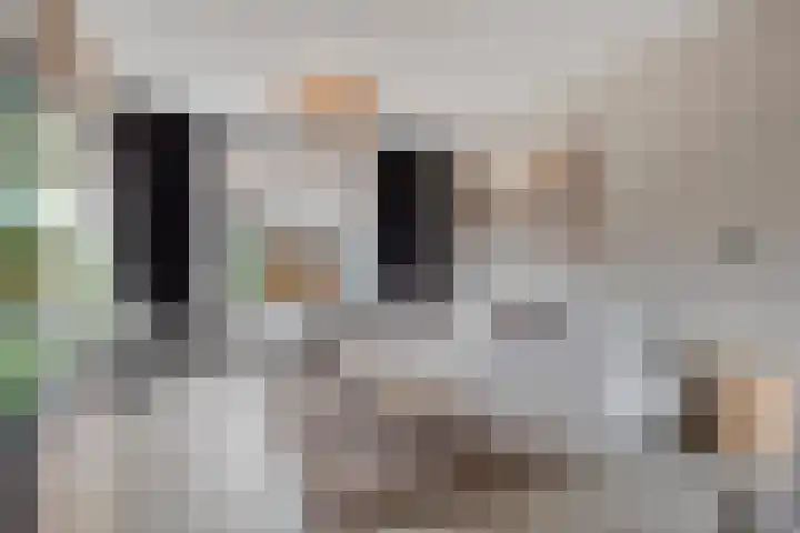 Jacob Catsstraat 2 Biervliet thumbnail 10