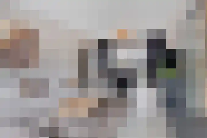 Jacob Catsstraat 2 Biervliet thumbnail 11