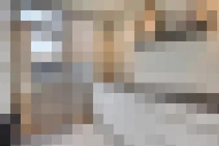 Jacob Catsstraat 2 Biervliet thumbnail 17