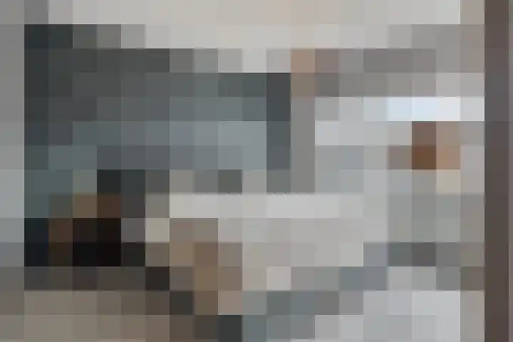 Jacob Catsstraat 2 Biervliet thumbnail 22