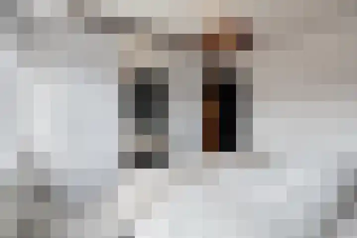 Jacob Catsstraat 2 Biervliet thumbnail 24