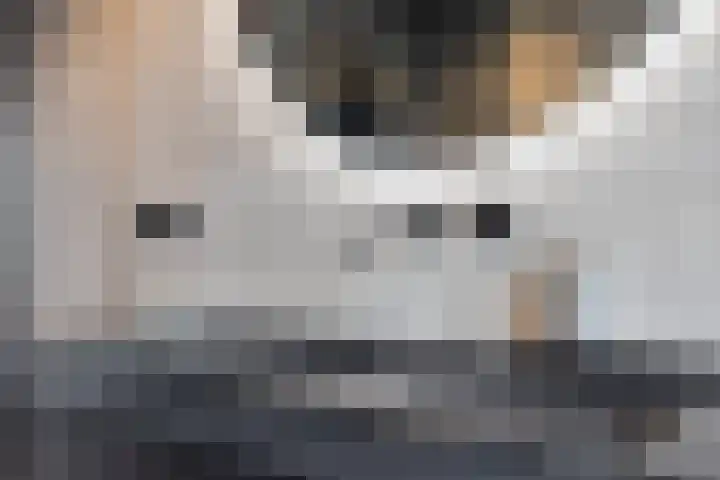 Jacob Catsstraat 2 Biervliet thumbnail 27