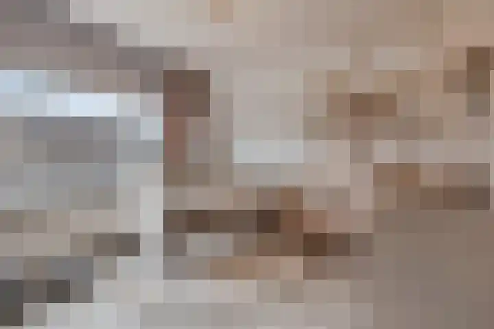 Jacob Catsstraat 2 Biervliet thumbnail 30