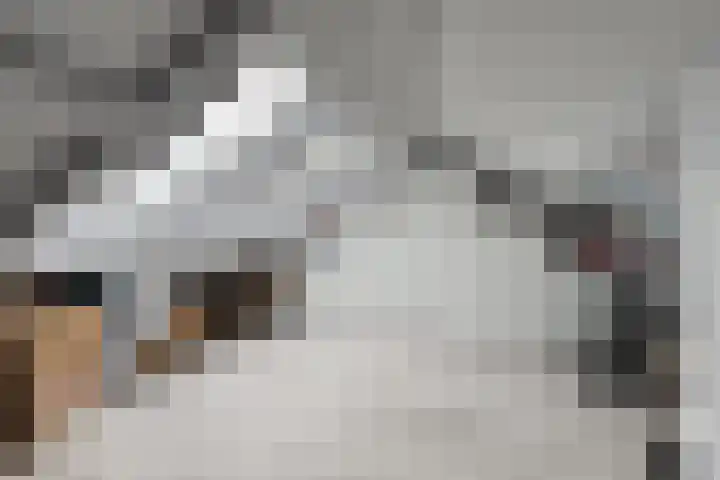 Jacob Catsstraat 2 Biervliet thumbnail 31