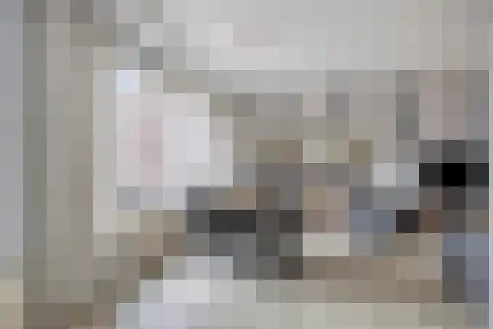 Jacob Catsstraat 2 Kampen thumbnail 9
