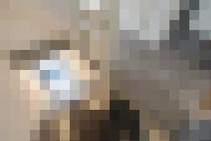 Jacob Catsstraat 58 Delft thumbnail 6