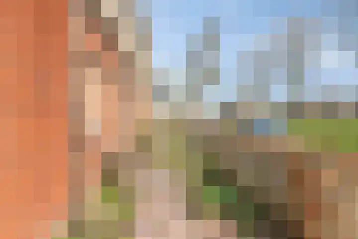 Jacob de Gheynstraat 5 Deventer thumbnail 8