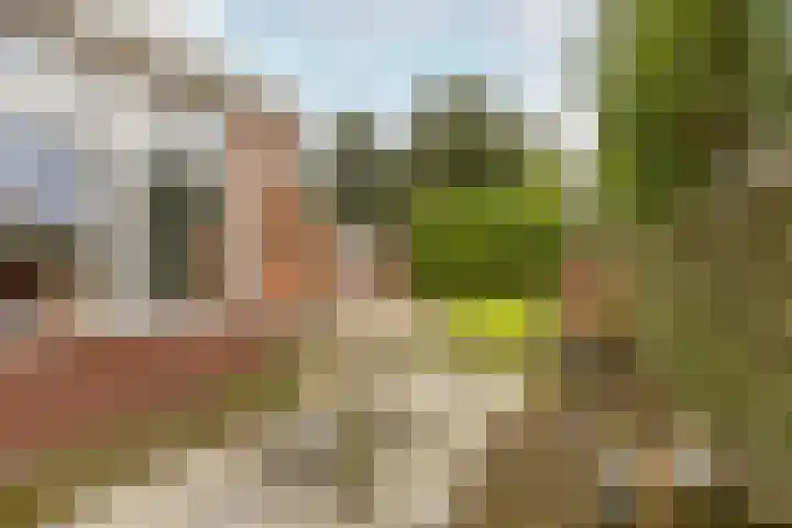 Jacob de Witstraat 5 Heemstede thumbnail 31