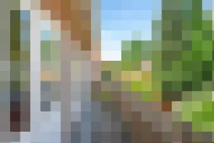 Jacob Marislaan 58 Arnhem thumbnail 34