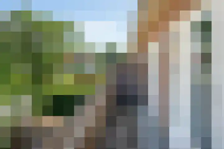 Jacob Marislaan 58 Arnhem thumbnail 37