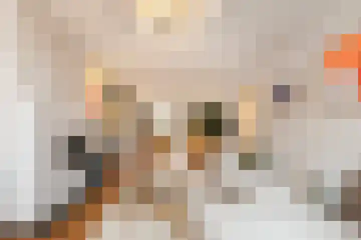 Jacob Marisstraat 38 2 Amsterdam