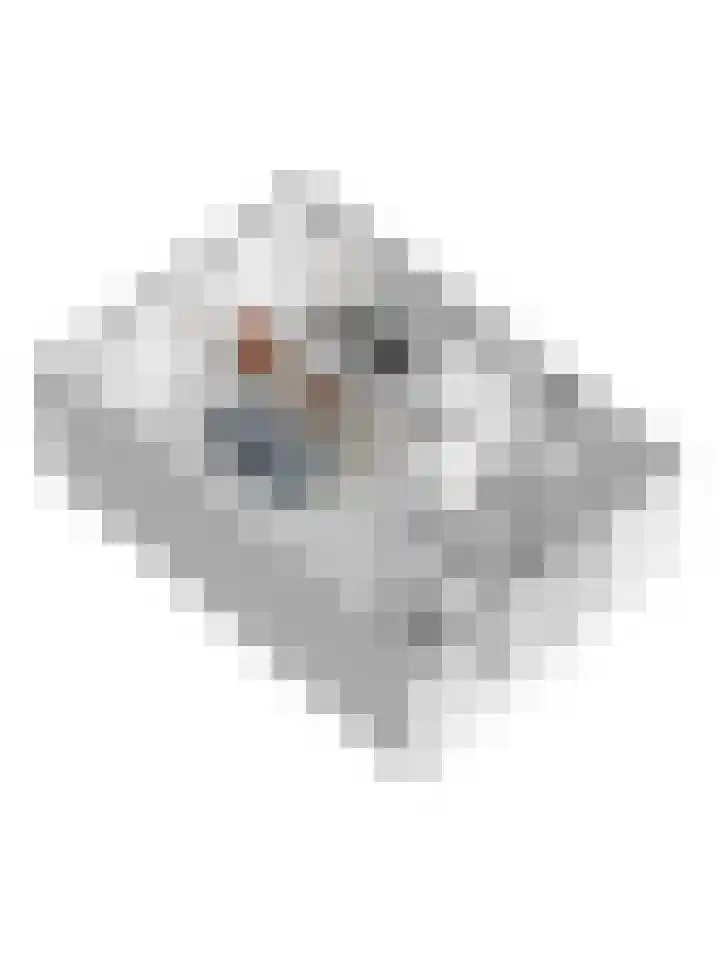 Jacob Marisstraat 78 Ommen thumbnail 32