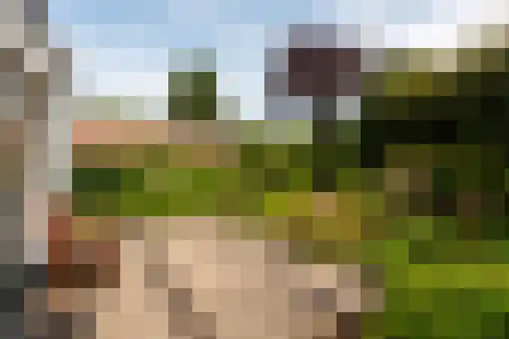 Jacob van Lenneplaan 9 Baarn thumbnail 19