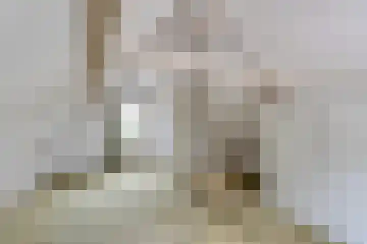Jacob van Lenneplaan 9 Baarn thumbnail 27