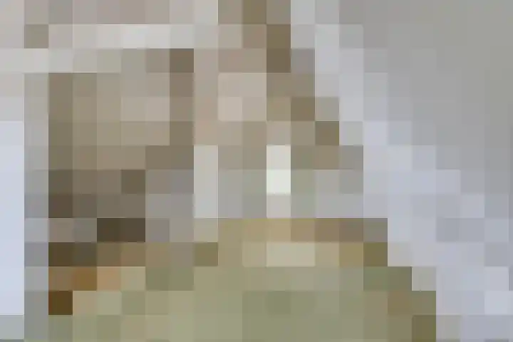 Jacob van Lenneplaan 9 Baarn thumbnail 30