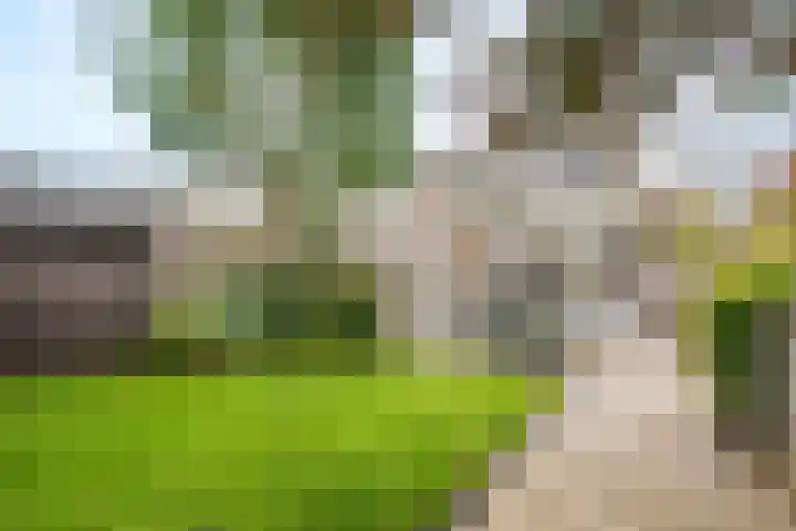 Jacob van Lennepplein 2 Zeist thumbnail 26