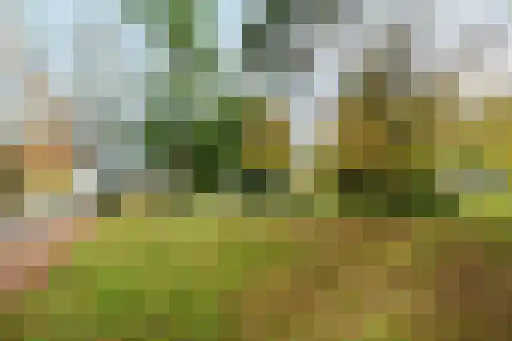 Jacob van Lennepplein 2 Zeist thumbnail 29
