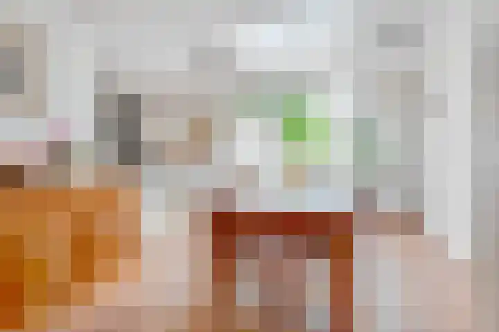 Jacob van Lennepplein 5 Zeist thumbnail 11