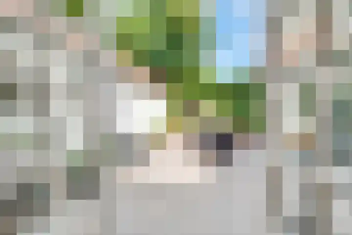 Jacob van Lennepplein 5 Zeist thumbnail 12