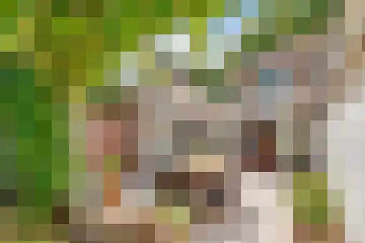 Jacob van Lennepplein 5 Zeist thumbnail 14