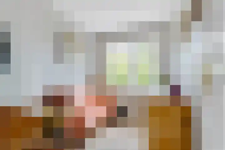 Jacob van Lennepplein 5 Zeist thumbnail 29