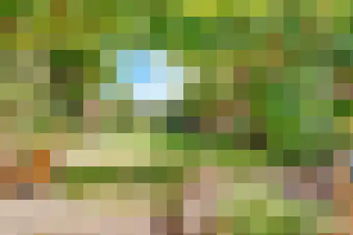 Jacob van Lennepplein 5 Zeist thumbnail 35