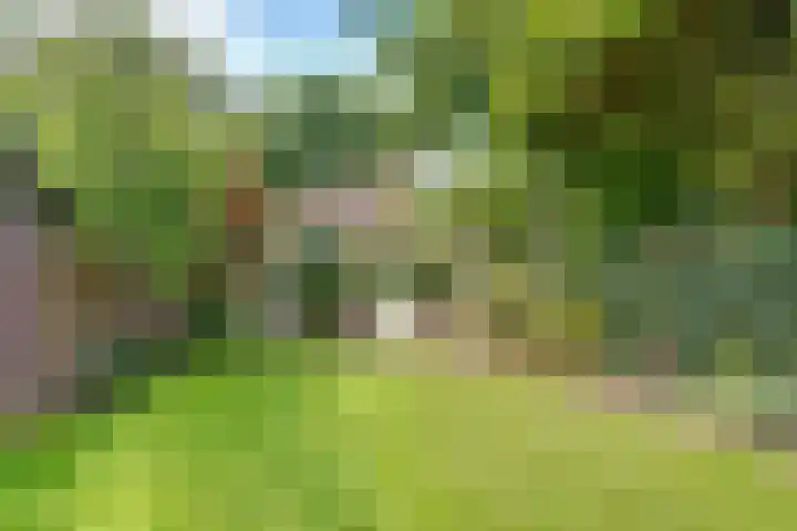 Jacob van Lennepplein 5 Zeist thumbnail 43