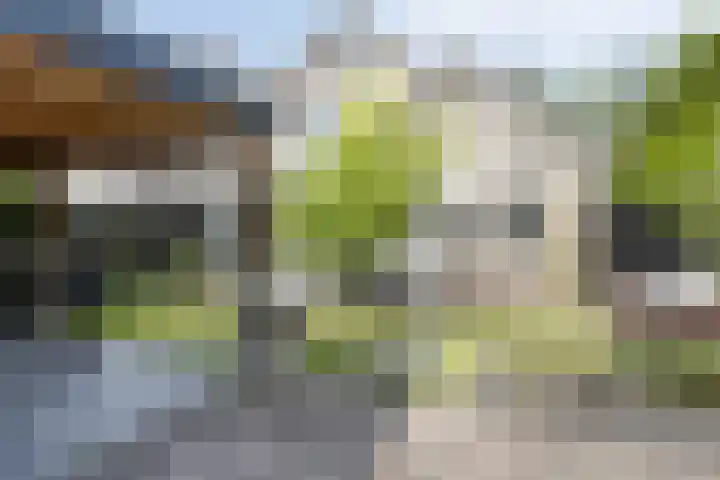 Jacob van Ruysdael 9 Creil thumbnail 57